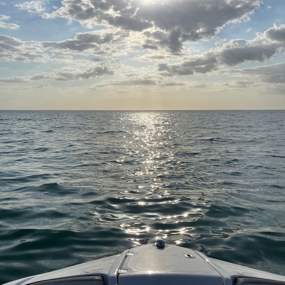 Meet your Posher, Lola - Picture 1 of 1